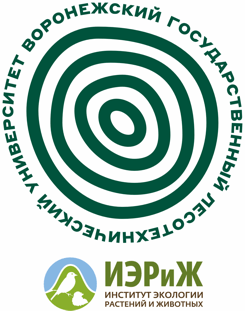 Emblem of the organization